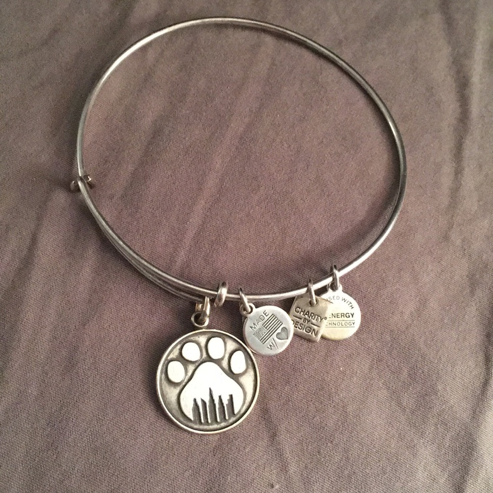Alex and Ani bangle